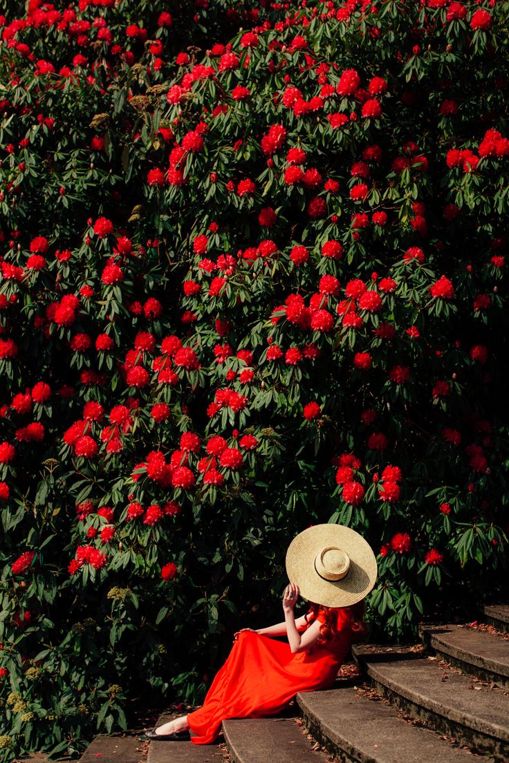 Elegance Never Goes Out of Style