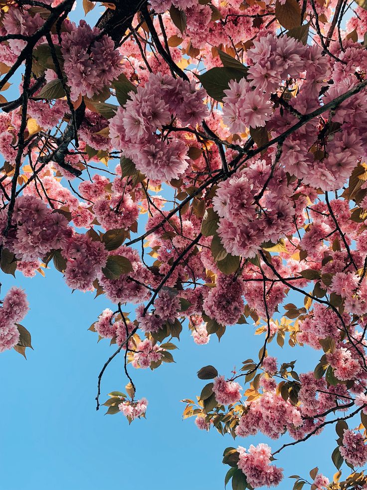5 Spring Floral-Print Dress Styles, You'll Love!