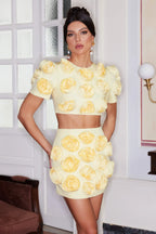 Venice Solid Spliced Appliques Set