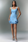 Clover Floral-Embellished Ruffle Hem Mini Dress