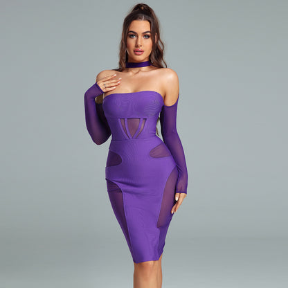LLstyle Purple Mesh Panel Bodycon Dress