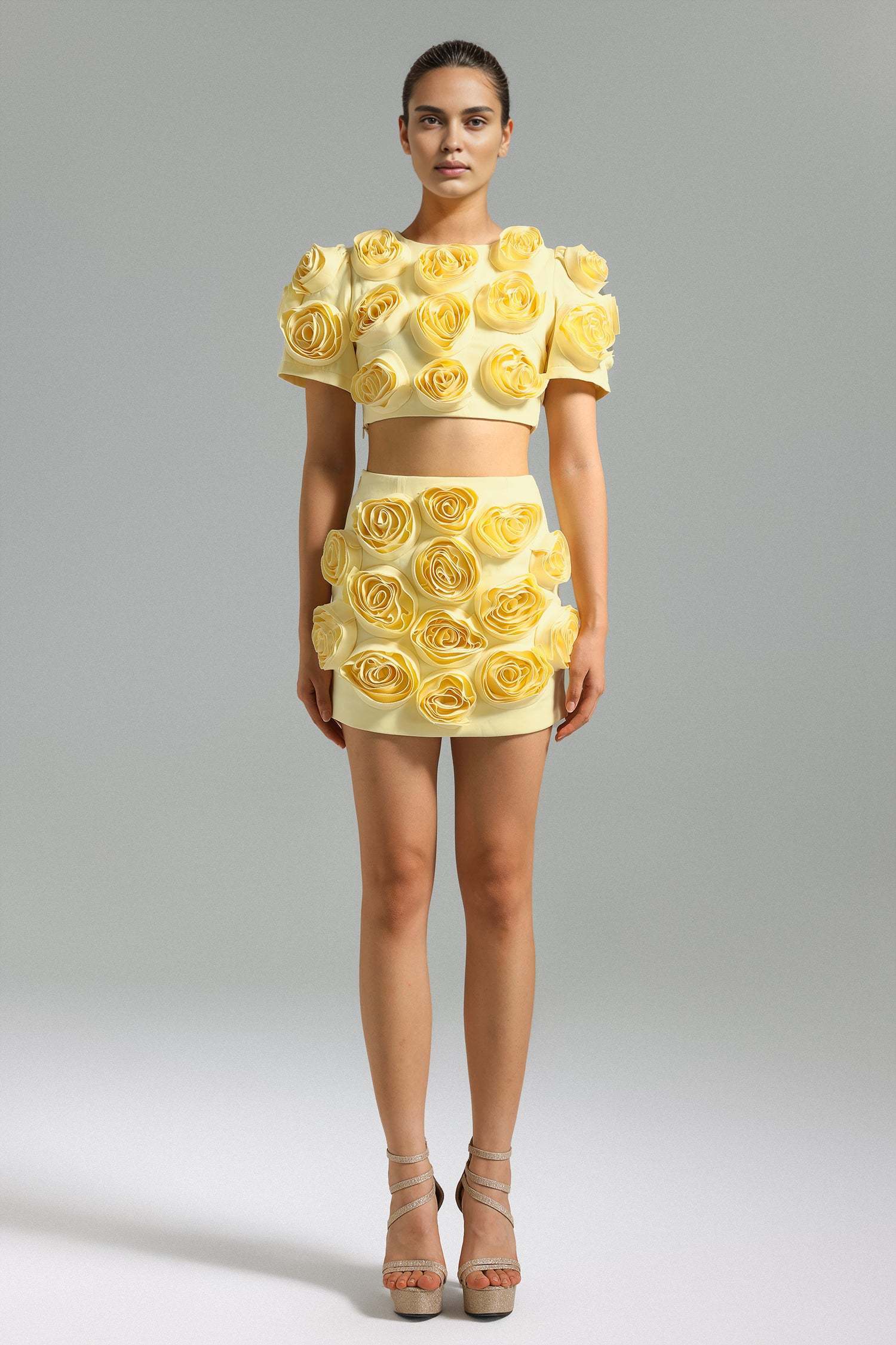 LLstyle 3D Rose Embellished Crop Top & Mini Skirt Set